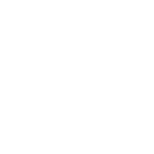 small-logo-lite
